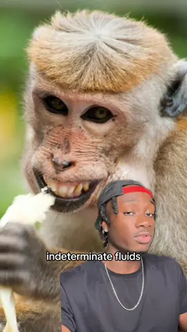 Don’t feed the monkeys #monkey#florida#nature