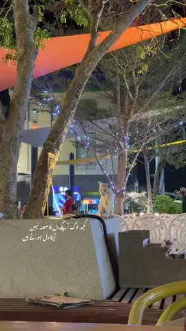 😭❤️#fyp #fyppppppppppppppppppppppp 