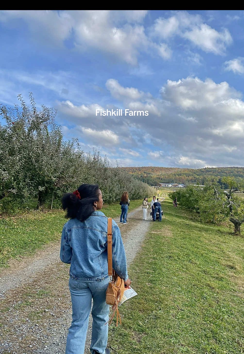 this is your sign to plan an upstate trip and cross it off your bucketlist 🍂🤎 #nyc #beacon 