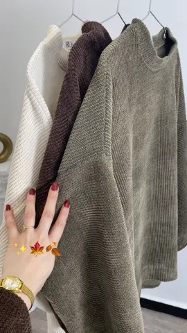 🍁✨🍂outfit #hijab  #outfitinspo #fyp #cozy #autumnoutfit 