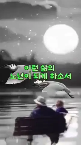 🙏🙏💗이런 삶의 노년이 되게하소서💖🙏🙏