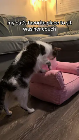 FULL STORY 🤍 A little over two weeks after Ella passed away, I received a new follower notification on Instagram. I saw it was @JENNA 💗 bariatric bestie whose content I love, so I sent her a DM letting her know. She said she found my account because she went antiquing/thrifting and found this salt and pepper shaker and someone tagged her saying it looked like Ella. I couldn’t believe it when I saw it! I went on a wild goose chase and it felt as if I wouldn’t find one. I almost gave up until I found one seller that had it and immediately purchased. Sure, it didn’t pop up in an ad or I didn’t find it while out in the wild. But it felt fitting that I saw it via a creator I love, when most of my journey with Ella was documented online. I hope that makes sense 😅 Anyway, I’m happy to have this tiny semi-version of my Miss Maam 🤍