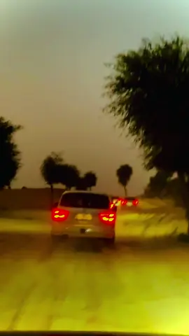 Dubai desert safari #dubai #fyp #dxb #desertsafari #shorts 