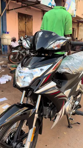 79332672/71800753/78208565/