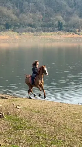 صّبًـ(⛅)ـُ(آٍلَـٍـً(🌺)ـٍوٌرٍدًٍ)ـ(⛅)ـٍآٍآٍحًً #عشق #tiktok #ترند_الخيل #explorepage #Reels 