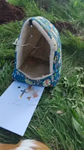 i had to do this on my own  fly high jack and rum wild im missing you already bro  xxxxxxxxxxxxxxxxxxxxxx