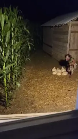 alguien me explica que esta pasando? 😰 #scary #fyp #horror #misterio #terror 