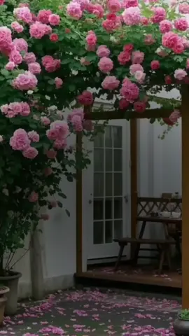 #صباحكم_أحلى_صباح🌹🌹 