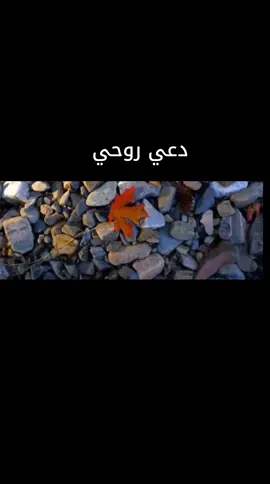 #نشيد_دعي_روحي #انتاج_اتحادالشعرا_والمنشدين 