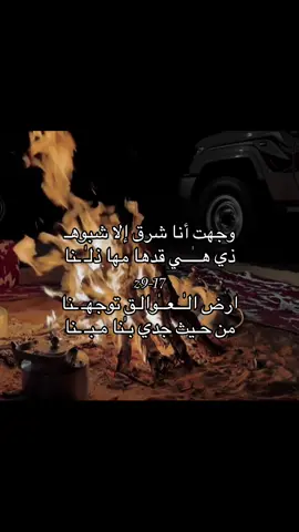 #917💐✨️ #العوالق #شبوه #اكسبلور #917💐✨️ 