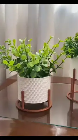 Trio de Vasos Cachepot com Suporte para Cactos ou Suculentas 🌵✨ Perfeito pra deixar qualquer cantinho mais bonito e moderno 💚 Gostou? Me chama no direct! 💬✨ #Decoração #Suculentas #Cactos #Cachepot #VasosDecorativos