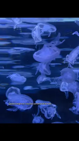 #fyp #xyzabc #masukberanda #storytime 