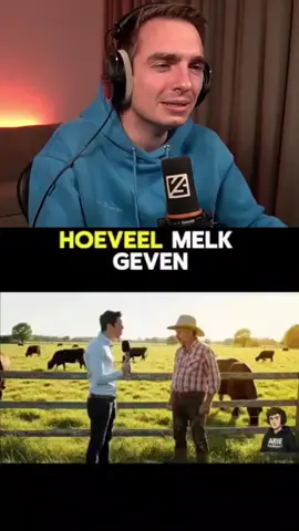 zwarte en bruine koeien... #fyp #foryou #vince_stick #viral