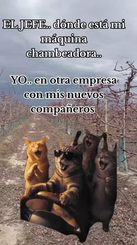 SOLO HUMOR 🤣💪#CapCut #paratiiiiiiiiiiiiiiiiiiiiiiiiiiiiiii #MemeCut #riberalta_beni_bolivia💚🇧🇴 #chile🇨🇱🇨🇱🇨🇱parati 