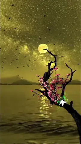 BUENAS NOCHES. BENDICIONES. HASTA MAÑANA #buenasnoches #bendiciones #hastamañana #dulcessueños #CapCut 