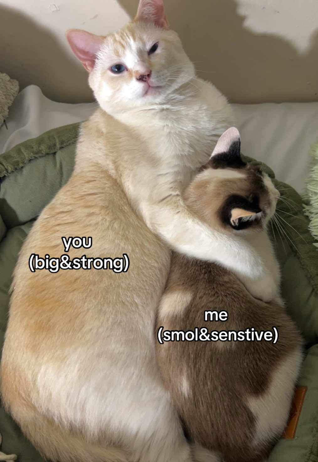 #meandyou #tagsomeone #relateable #yukixsukii #relationships 