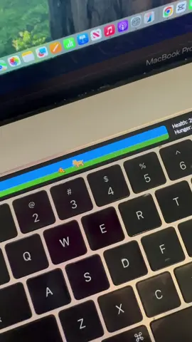 TikTok taught me this three years ago and I never showed you guys how to do it yourself! So here is how to do it ! #touchbarpets #macbookhack #momhack #touchbarpet  