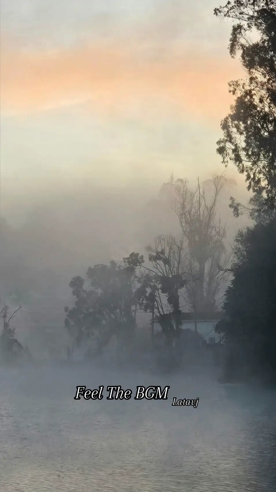 #mesmerising #bgm #lovenature 
