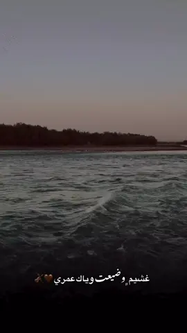 #لايك__explore___ #فولوو #اكسبلور #لايك_متابعه_اكسبلور #لايك_كومنت 