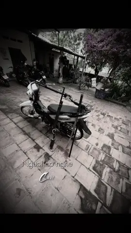 Máy đuổi hợp châu 2023 #88vinhphuc #duong36 