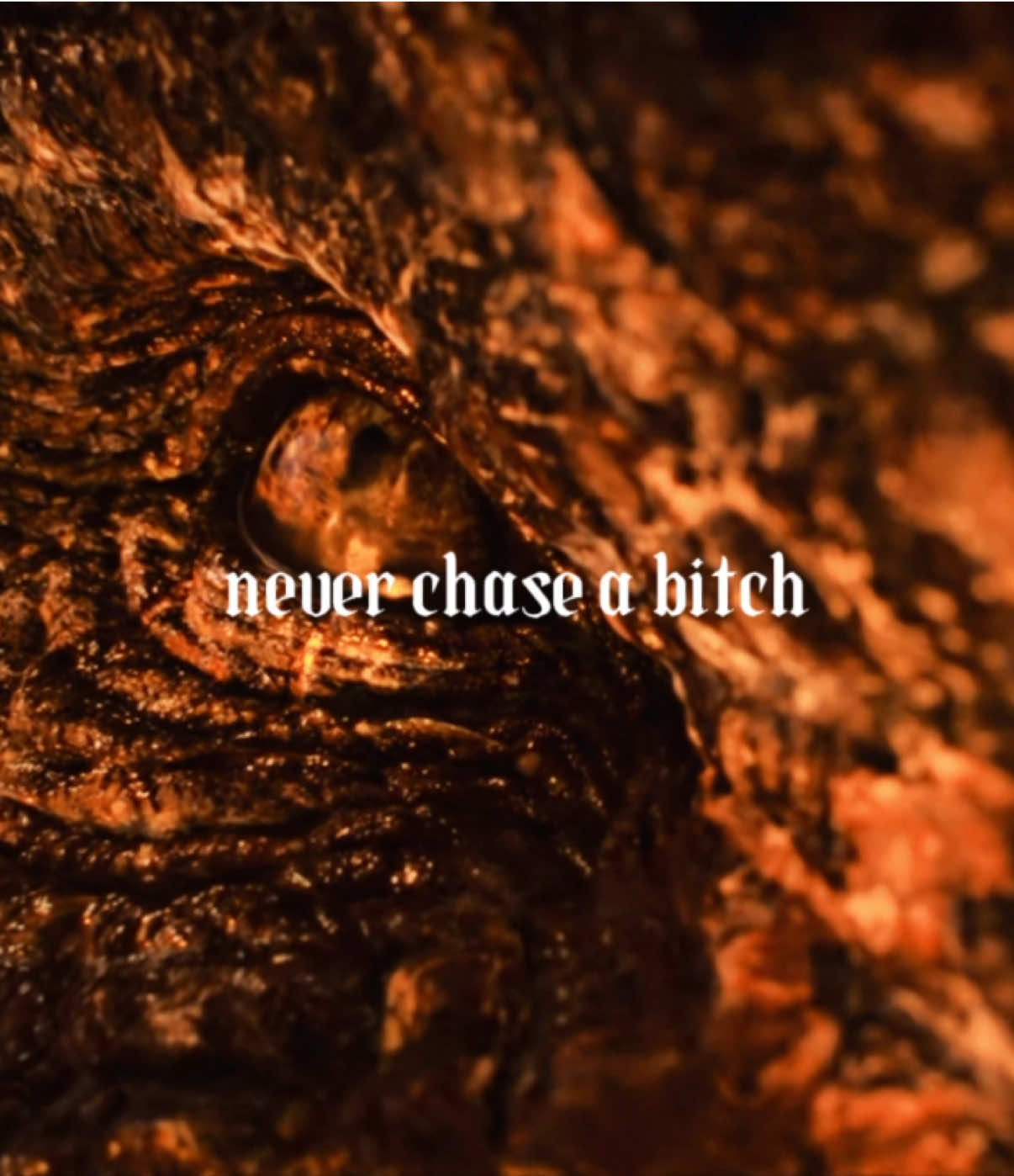 #gameofthrones #houseofthedragon #daemontargaryen #daenerystargaryen #rhaenyratargaryen 