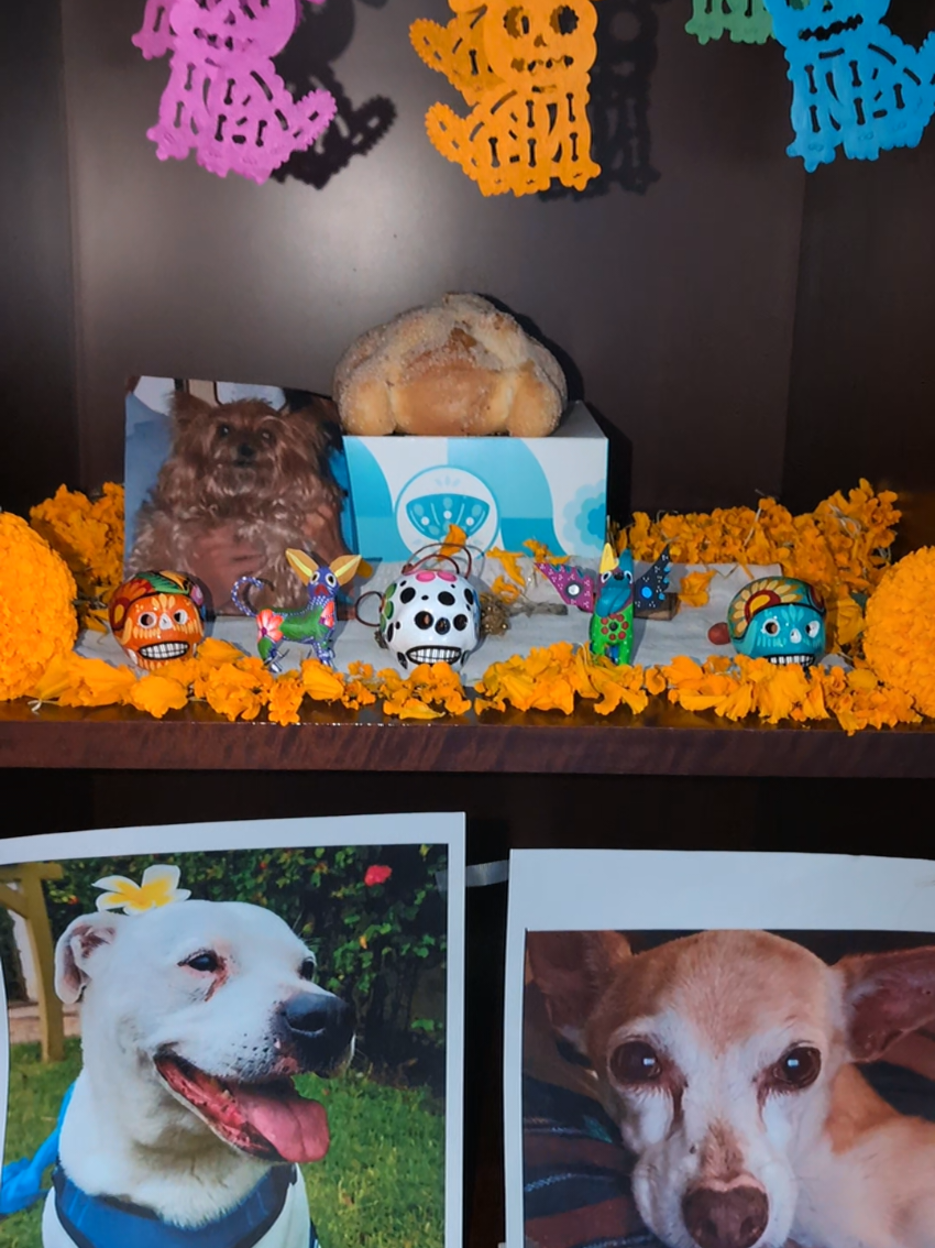 I'm not okay 😭 #diademuertos 