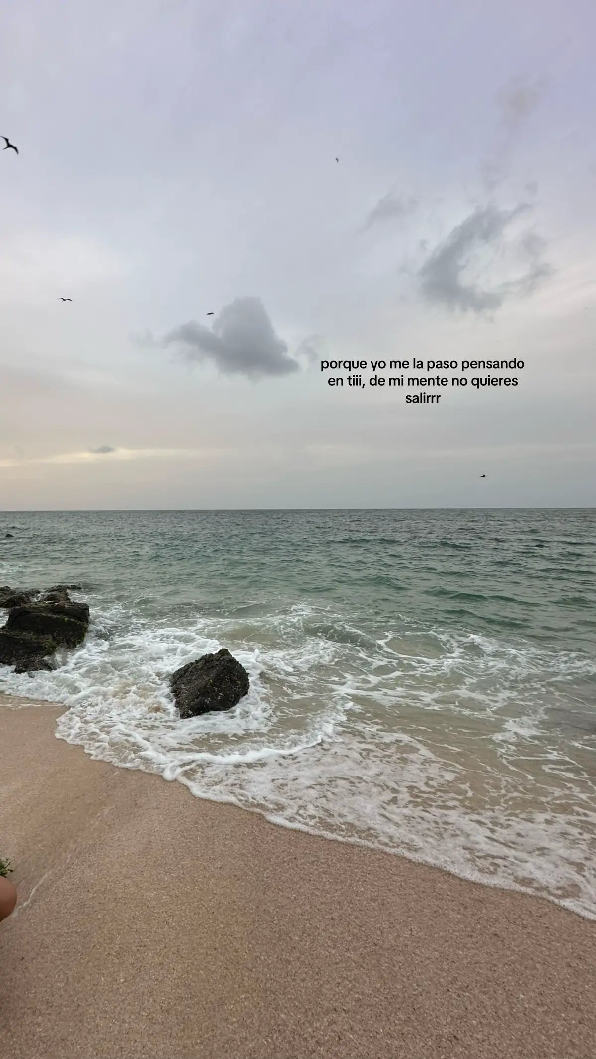 #jhayco #compartido #paisaje #tokyo #100kviews 