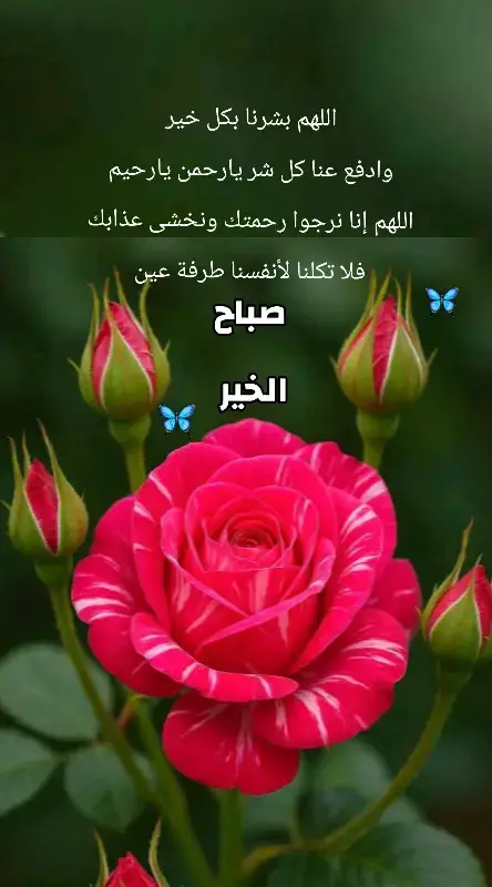#اللهم_آمين_يارب_العالمين  #صباح_الخير 