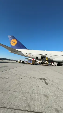 The Queen B747-8 #boeing #b747 #lufthansaairline 