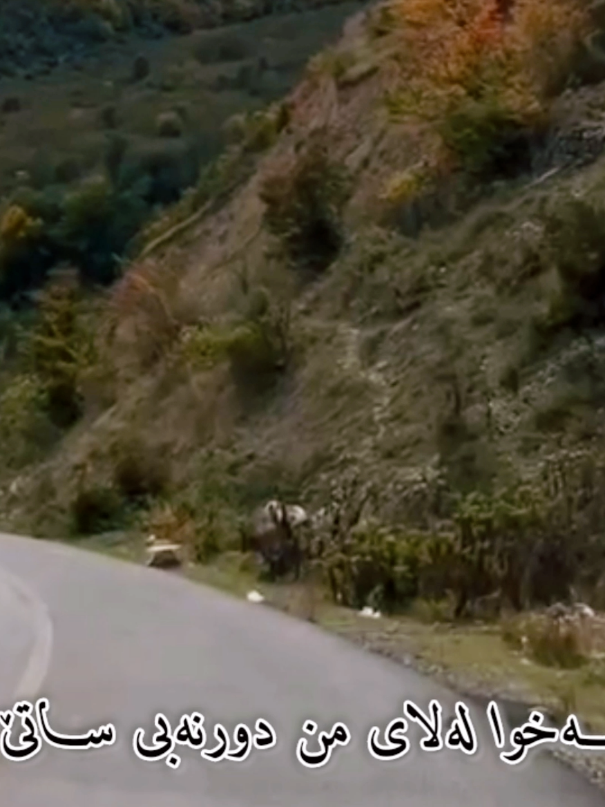 ئەو کەسەی ئەڵێ ژیان لەسەر کەسێک ناوەستێ درۆ ئەکا ،  نەبونی کەسێک تامی ژیانت  بیر دەبـــــــــاتەوە  !!!! 🖤💔 . #dyariarahman 