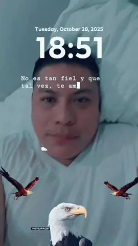 #creatorsearchinsights #LIVEIncentiveProgram #KeepItRealKeepItLIVE #PaidPartnership 