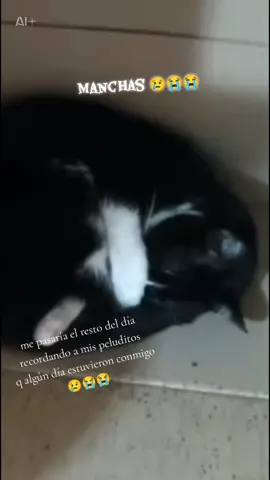 #recuerdame #vamosacerrarlacaja #volvistediferente #filtroia #CapCut 