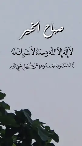 لا إله إلا الله وحده لاشريك له له الملك وله الحمد وهو على كل شيء قدير #اذكار_الصباح_والمساء #اذكار #صباح_الخير #creatorsearchinsights #اكسبلور 