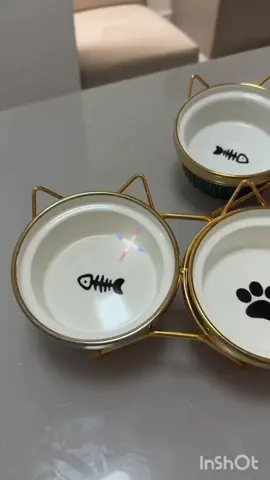 Confira Comedouro  Bebedouro duplo elevado ceramica Caes Gatos Pets persa com 28% de desconto! Somente R$78,90. Encontre na Shopee agora! Gostou copie e cole o link 🔗 no seu navegador ou app Shopee e boas compras 🛍️ 😉 🛒 👇🏽  https://s.shopee.com.br/6Kw9jd05zo?share_channel_code=1 #shopee #mercadolivre #achadinhos #achadosshopee #petsoftikto 