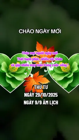 #nhachaymoingay❤️ #xuhuong2024tiktok❤️🌈✔️🤟🤟🤟story #chaobuoisang 