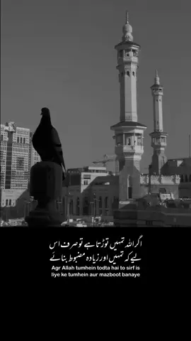 .. .. .. .. #islamic_video #islamicquotes #fyp #foryou #tiktokpakistan 