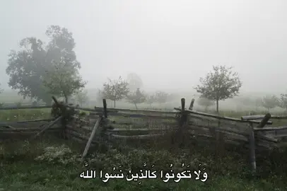 #محمد_صديق_المنشاوي #fyp #quran #🎧 