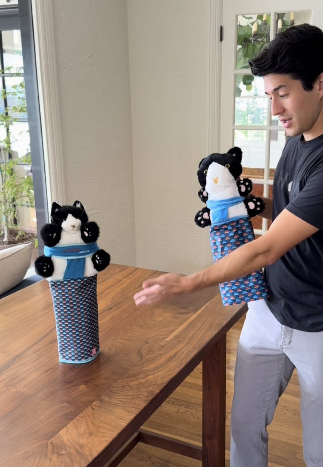 PSA: Protection starts with quality. Trust the real deal—avoid knockoffs ❌ #cattoy #SmallBusiness #cats #foryou #catsumo 