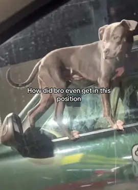 😭 #fyp #xyzbca #tiktok #memes #lowqualitymemes 