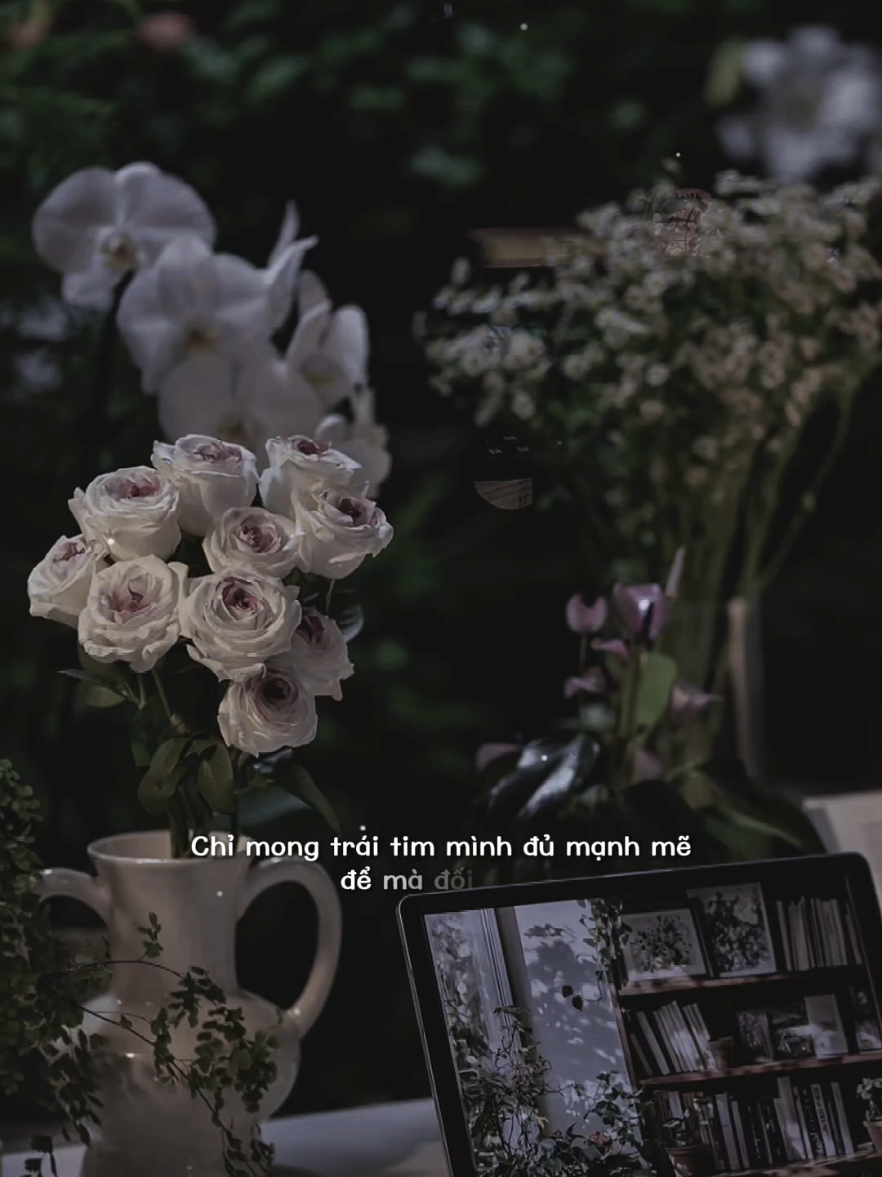 Nửa cuộc đời đã qua #trambuon12 #nghelasuy12 #tamtrang #podcast #SBKentertainm 