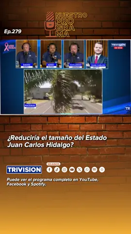 TT17 ¿Reduciría el tamaño del Estado Juan Carlos H