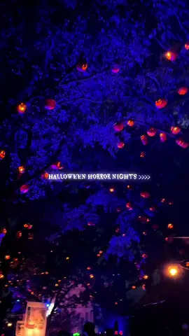 Oh what a night! 🤪👻#hhn #halloweenhorrornights #spookyseason #hauntedhouse #halloweenhorrornightsorlando 