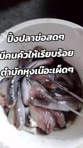 #แทนวันนี้กระแสมาแรงวันนี้ #เปิดการมองเห็น 