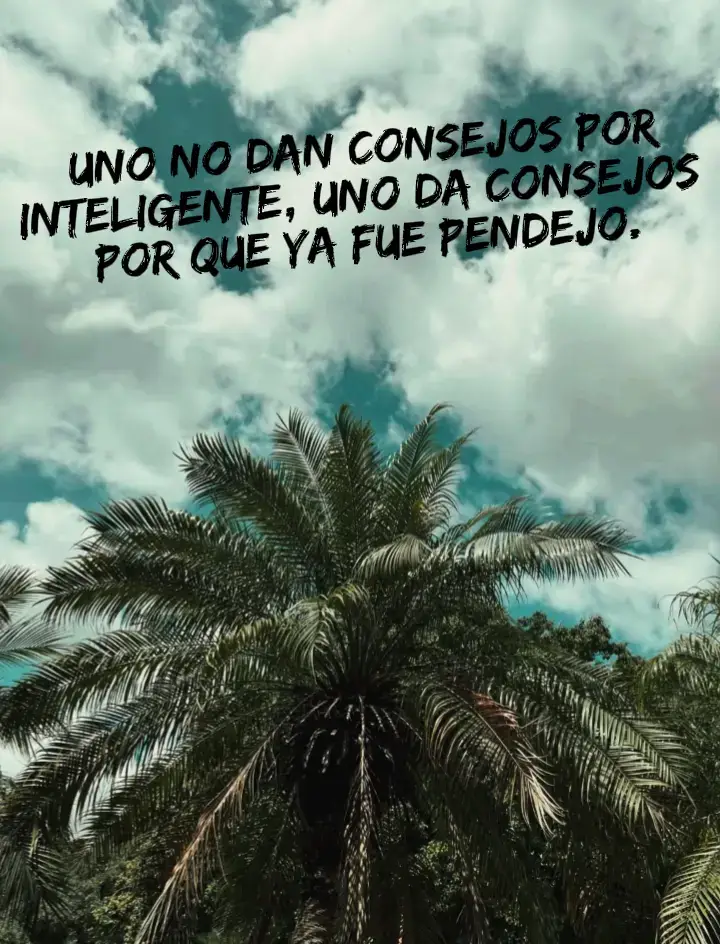 #liveincentiveprogram #salsa #fyp #paratiiiiiiiiiiiiiiiiiiiiiiiiiiiiiii 