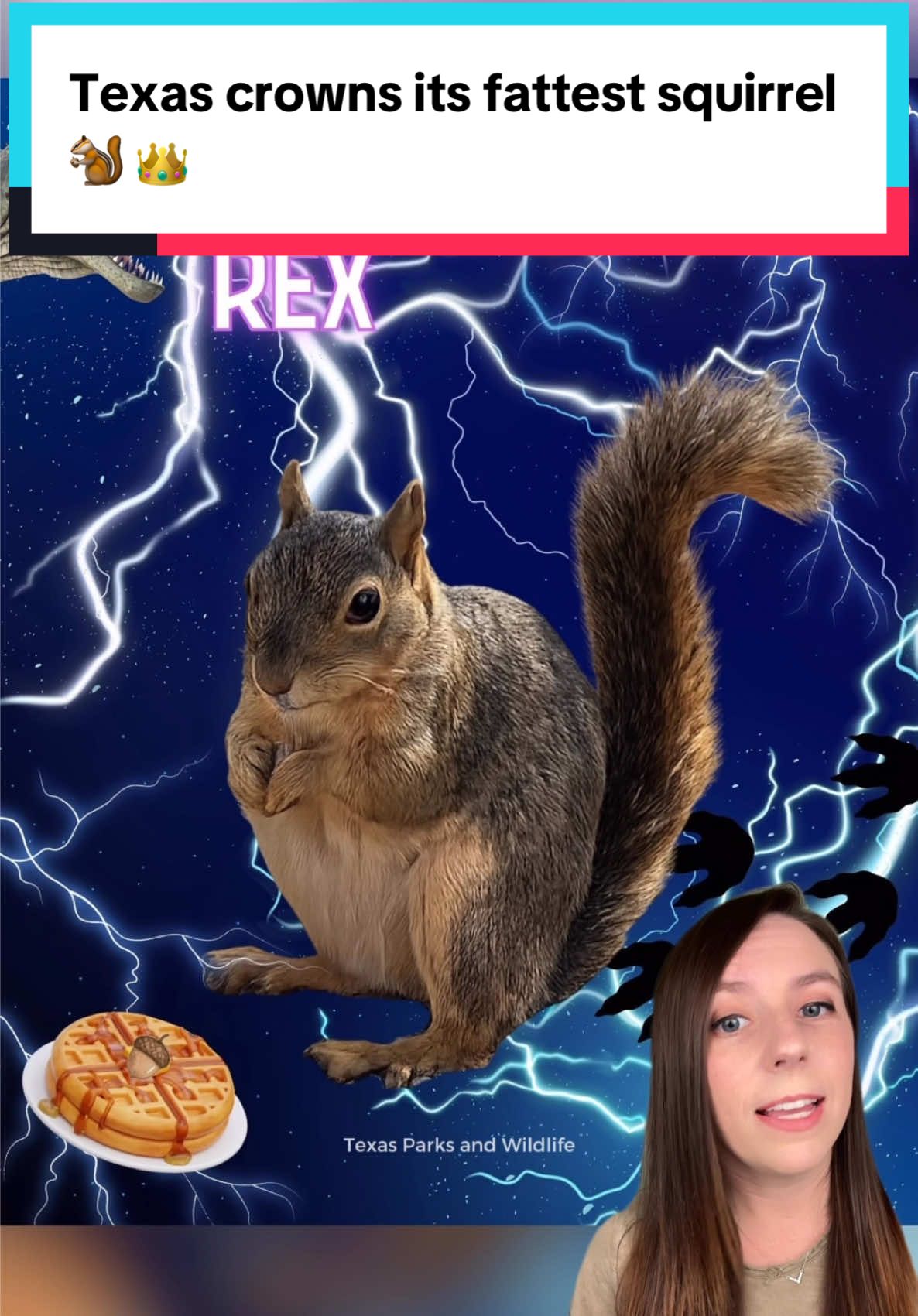 A fat squirrel named Chunkosaurus Rex just won Texas' first Fat Squirrel Week, narrowly beating Chunk Norris. 🐿️ Inspired by Fat Bear Week, the competition featured standouts like Nutella, Stanley, and Nutty Crockett. 🌰 📸 Texas Parks and Wildlife / Katmai Conservancy / Getty #squirrels #texasfatsquirrel #fatsquirrel #animals #goodnews 