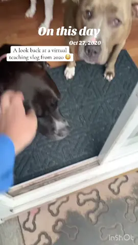 This video popped up and it didn’t even register that it was during virtual learning. On another note, I miss my Rocky boy so much - those brown eyes 🥺 #teacher #tiktokteacher #teachersontiktok #teachertok #hsteacher 