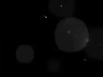 Happy birday Trần Triết Viễn🎂🎊🎉🎉 29/10/1996-29/10/2025  Tuổi mới chúc ck luôn vv hạnh phúc,thật nhiều may mắn, có tất cả trừ vất vả và ra thật nhiều phim ms cho các vk coi nhó😙 Điều qtrong đừng có để rớt tóc giả nx nha chòn😇🤣🤣 #trantrietvien #chenzheyuan #chenzheyuan陈哲 #xhtiktok #ti̇ktok 