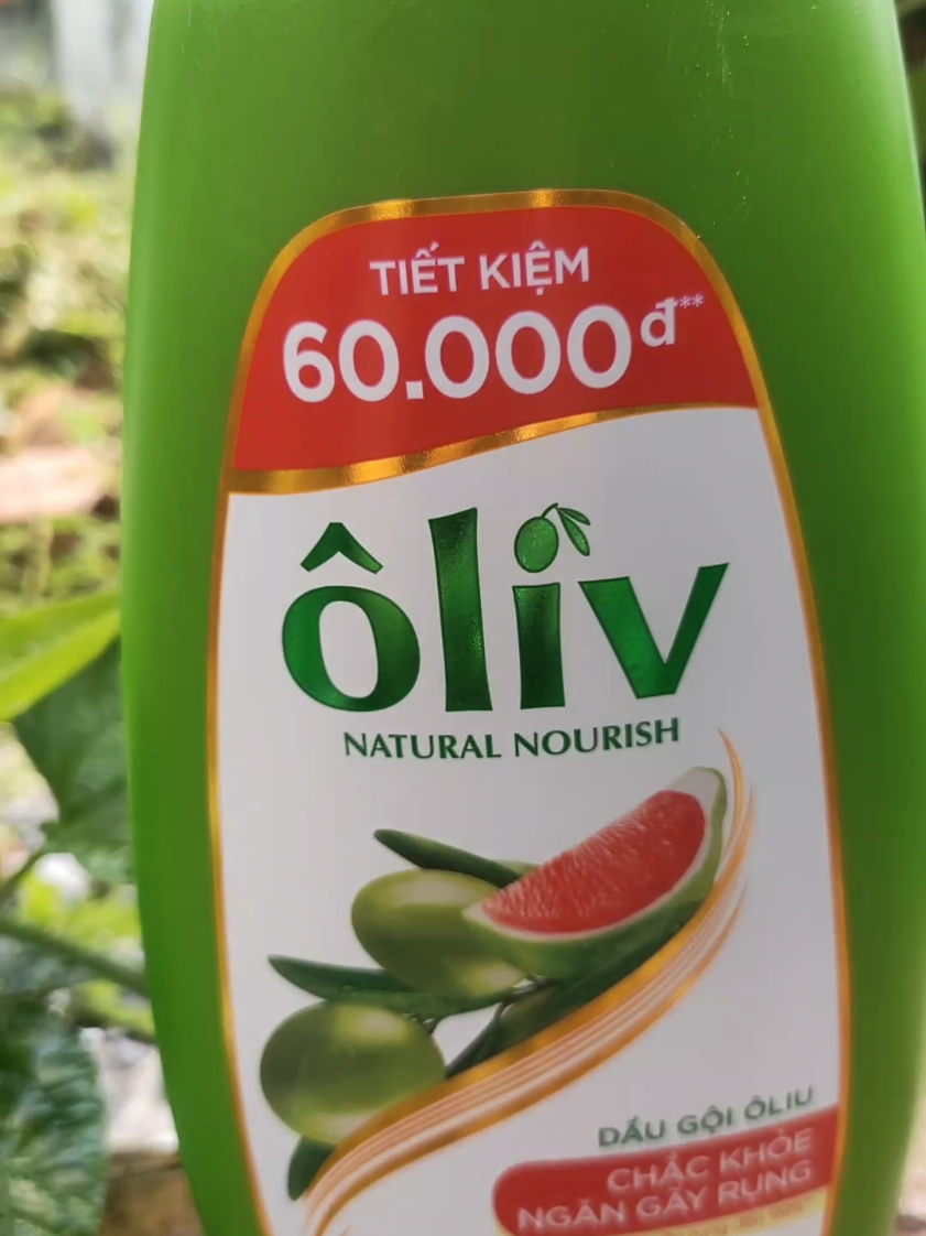 [K] Dầu Gội Ôliv Dưỡng Tóc Chắc Khoẻ 1L + tặng dầu xả Oliv 650ml. #daugoioliv #oliv #ChuNu  #ToiLamChuCungTikTokShop #HangVietVuonMinh 