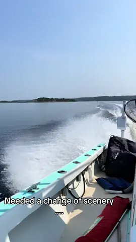 Just a Floridian Living in Arizona 🏔️⛰️…… oh y’all got mountain mountains Oh okay 🤣🤣 bet #Hiking #sedona #phoenixarizona 
