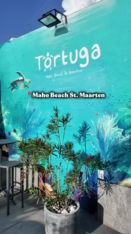The views here were definitely unmatched!😍  📍Tortuga Maho  #stmaarten #fyp #mahobeach #sintmarteen #sxm 